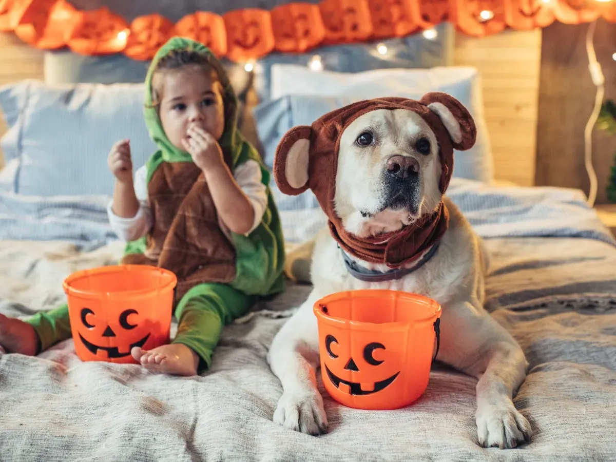 42 Fascinating Halloween Facts to Share During Spooky Season