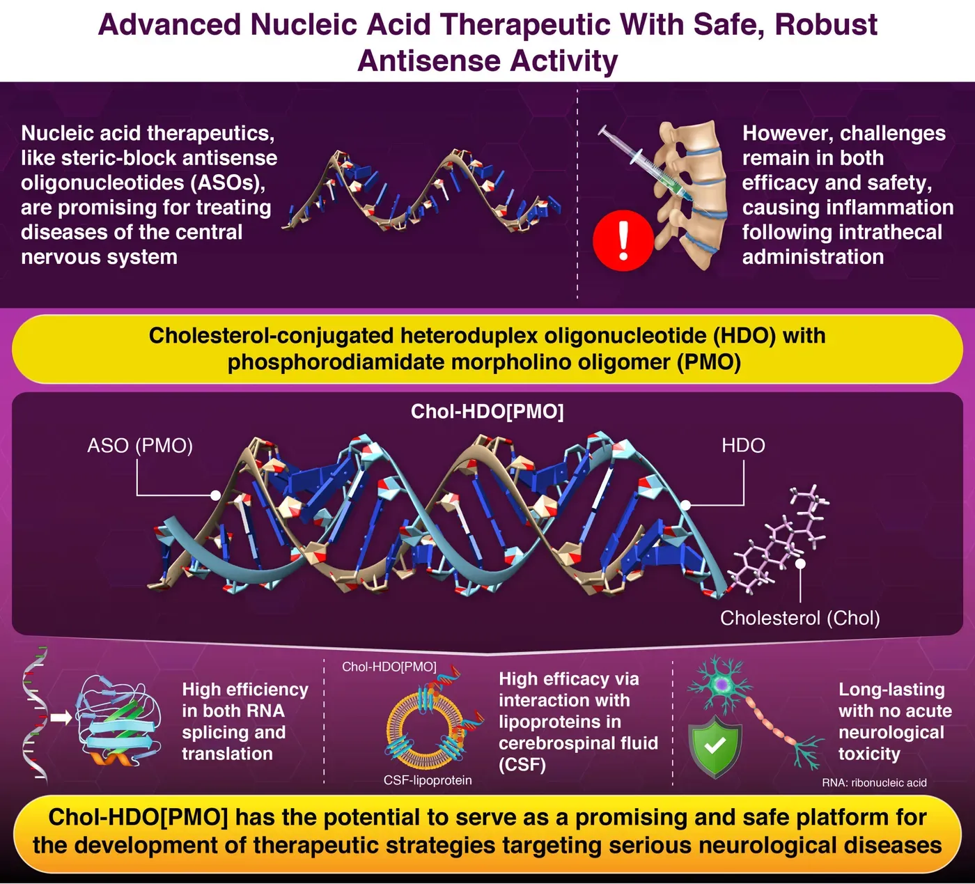 Cholesterol-linked drug boosts gene-targeting potency in early findings