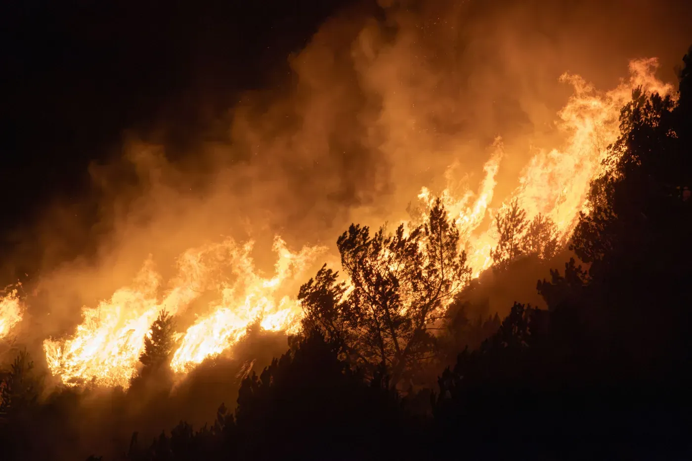 Cost of Canadian wildfires could top $2 trillion over the 21st century, study shows