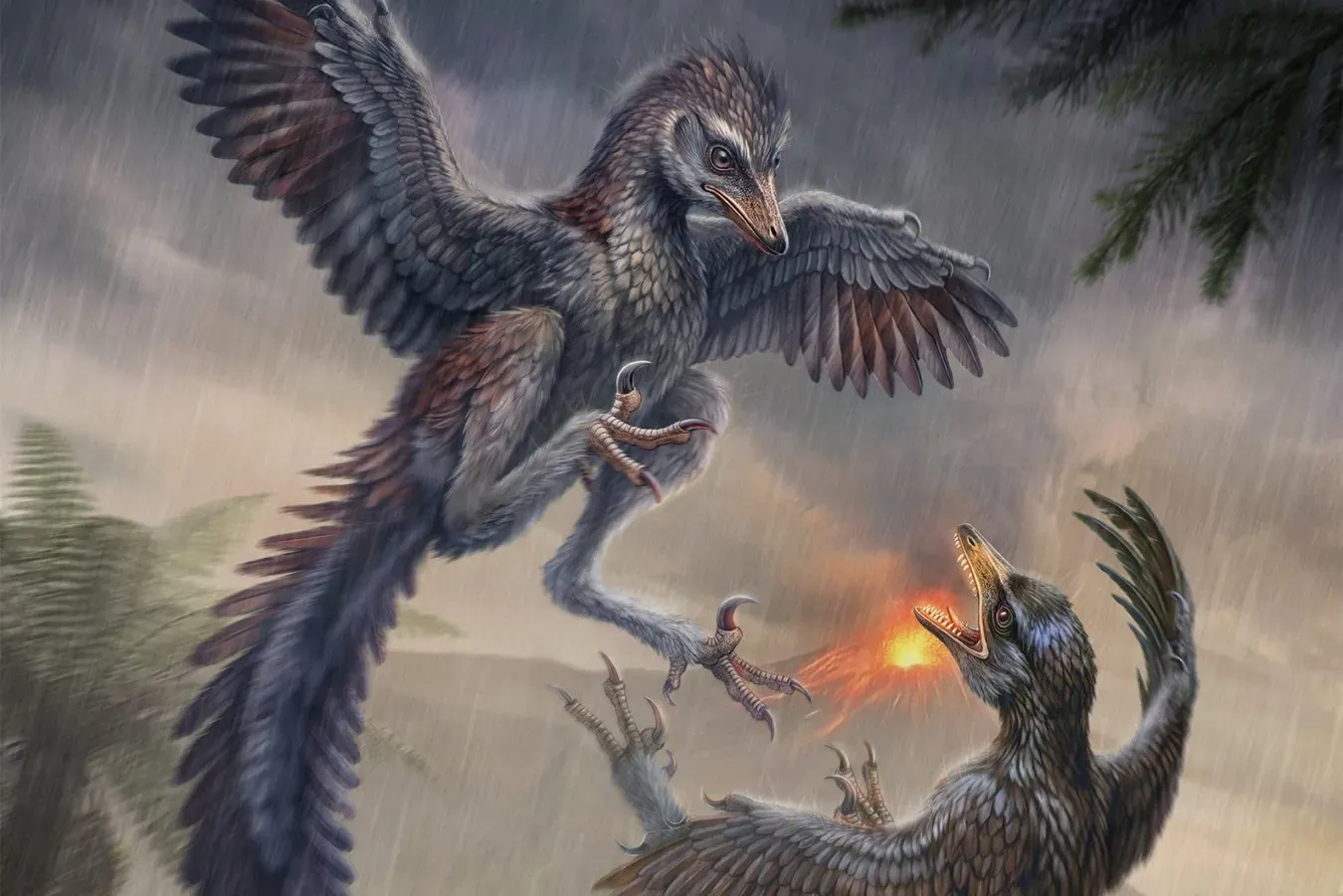 Flightless ancient bird complicates our picture of wing evolution