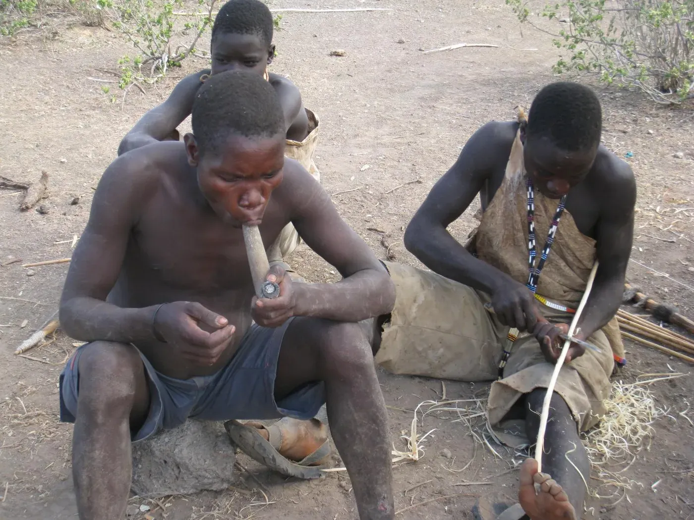 Gut bacteria reveal ancient ties to human migrations across continents, genetic analysis suggests