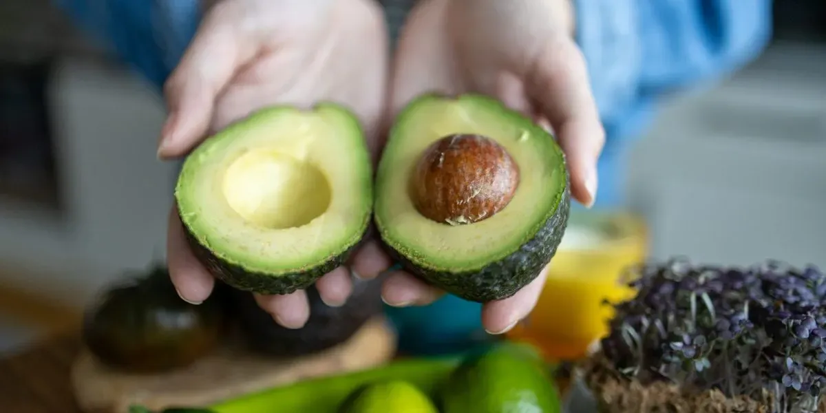 I represent Mexican avocado importers. Here’s what America’s 30-year avocado habit means for the tariff fight