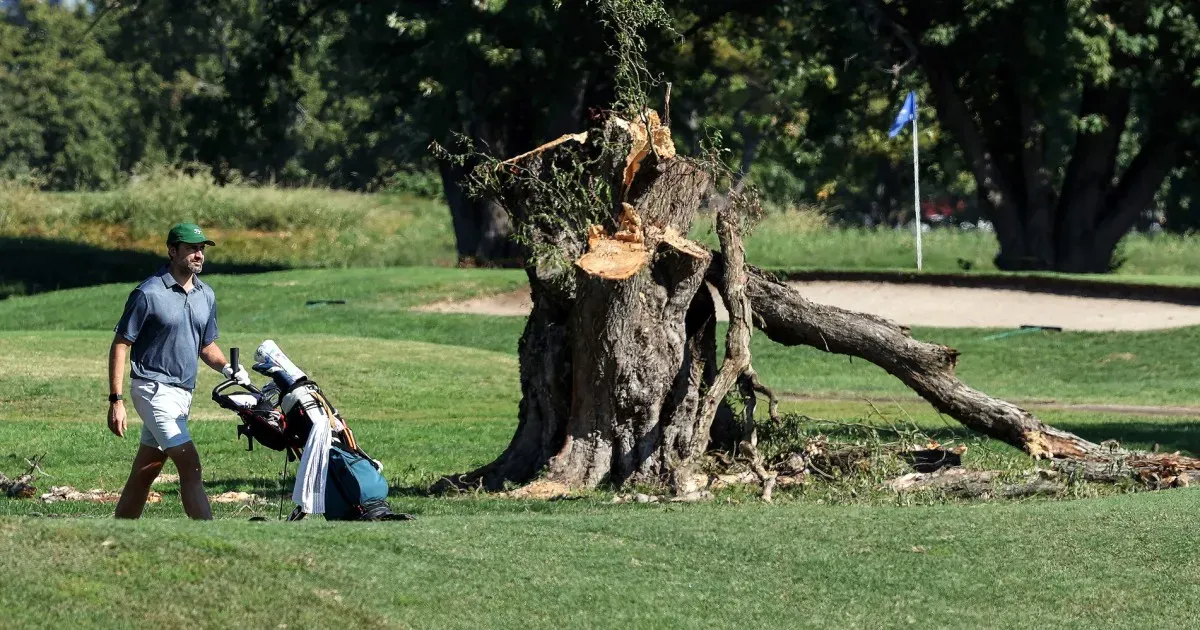 Judge extends order blocking Trump administration from clearing trees at DC golf course