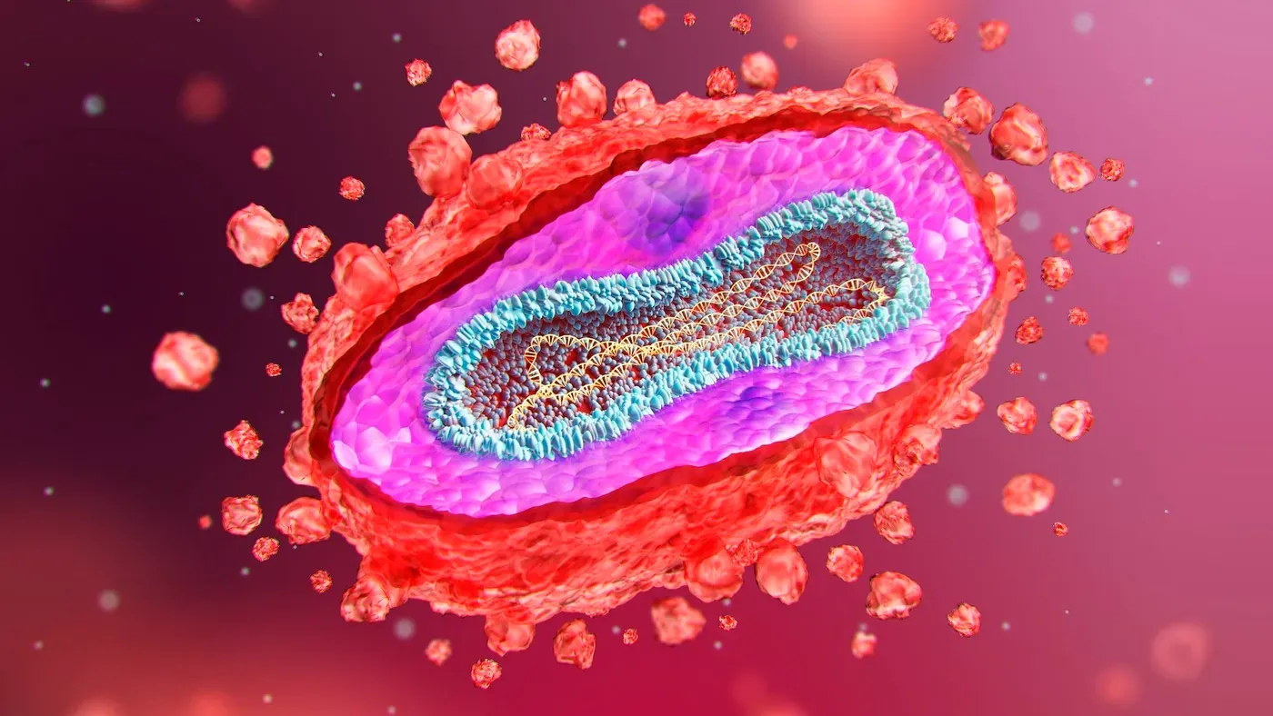 Mpox is still spreading in the US, here's what to know about vaccines, symptoms and treatment