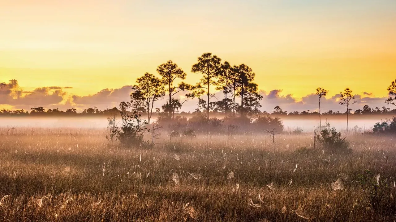 The Best East Coast National Parks, According to Someone Who's Visited Them All