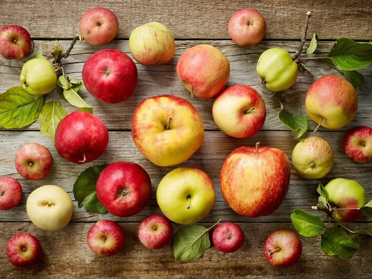 The Truth About Green Apples vs. Red Apples, According to Dietitians