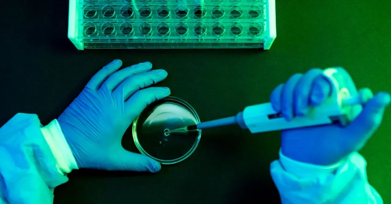 What to Know About Shamonda Virus Following the First Reported Human Infection