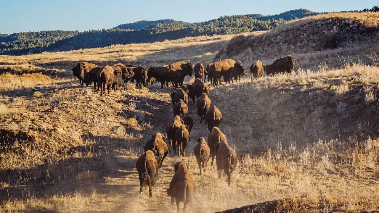 Why You Might Find Yourself Fishing, Foraging, Or Even Hunting, On Your Next Vacation