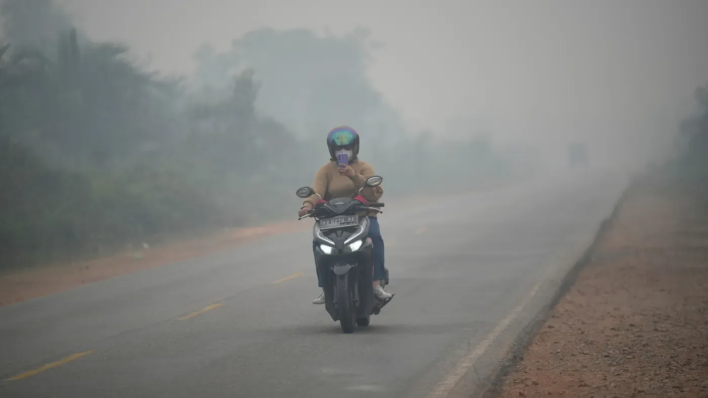 Wildfires threaten Indonesia's orangutans as rescuers find injured animals