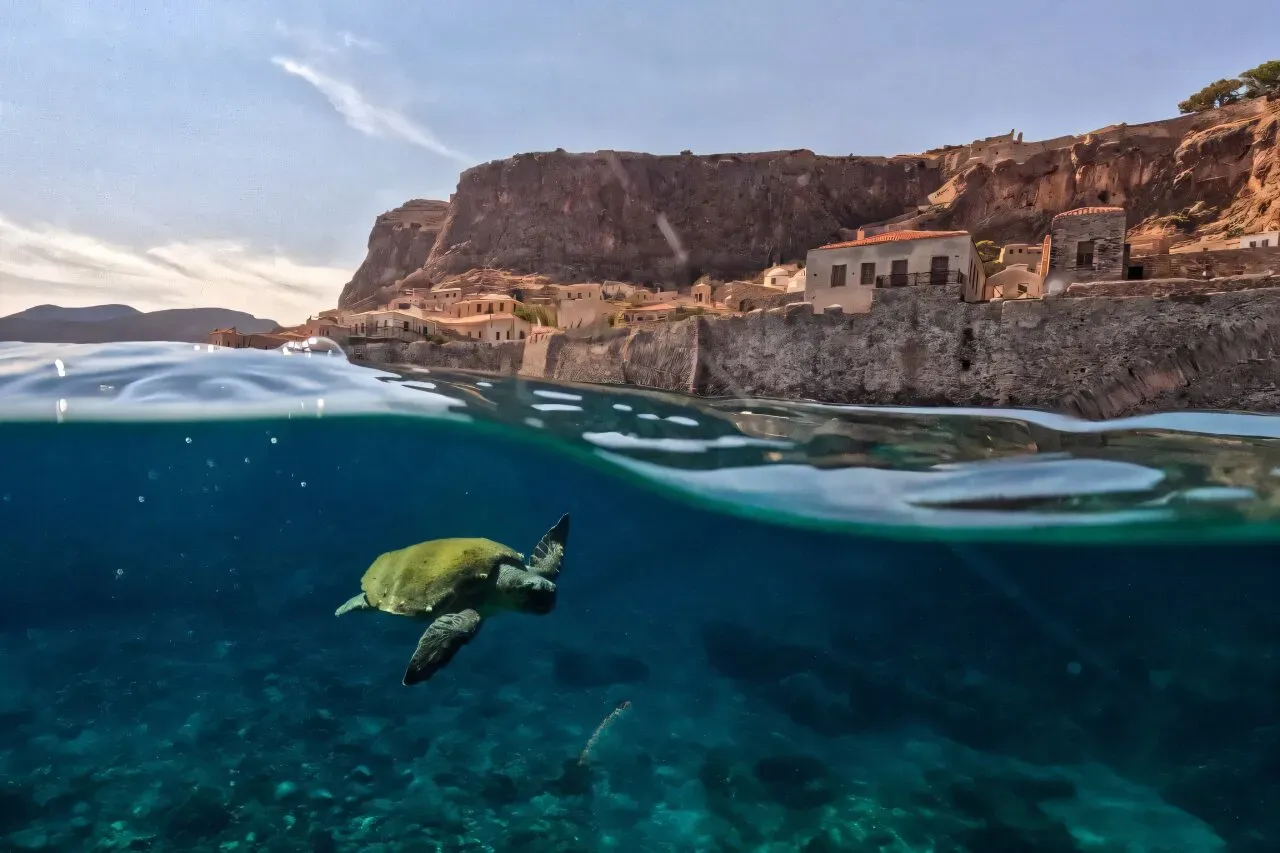 World leaders urged to 'course correct' as UN nature goals fall short