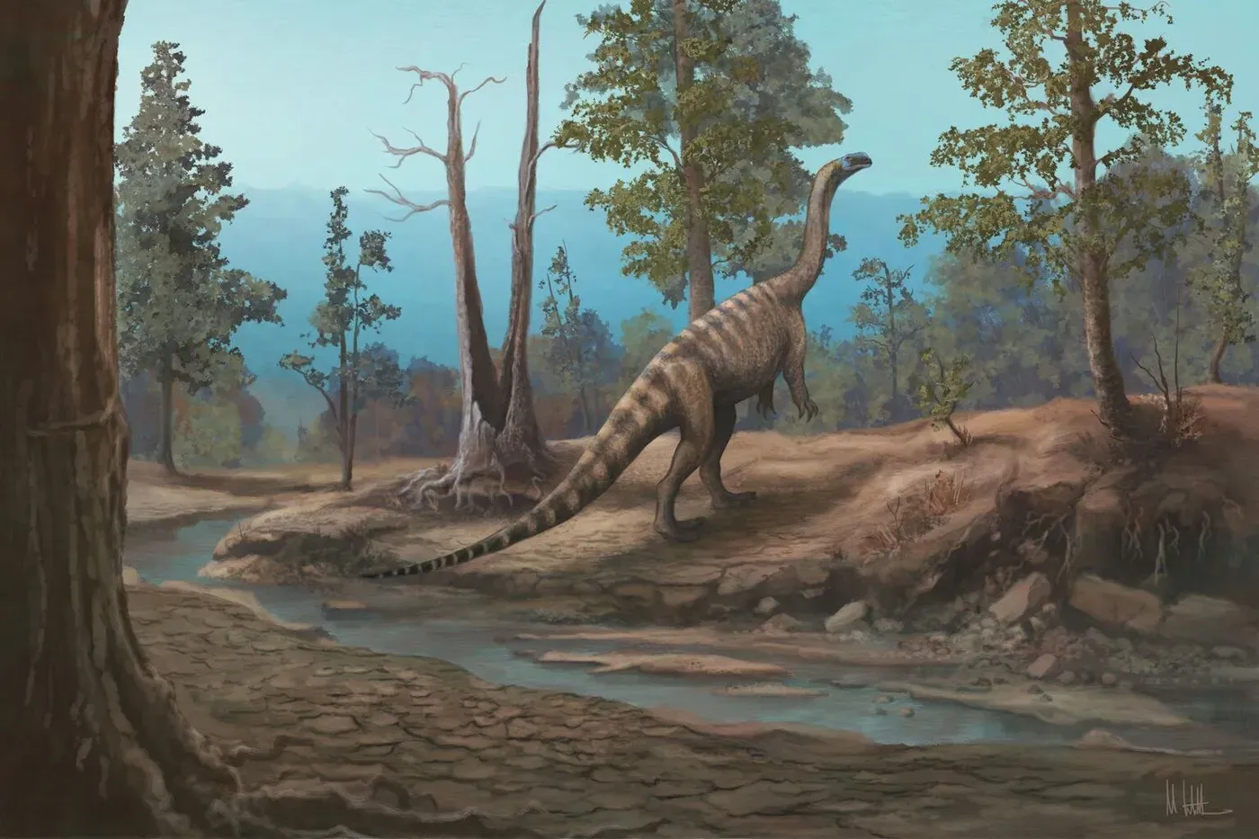 Zimbabwe's dinosaurs were different from South Africa's: New species offers clues