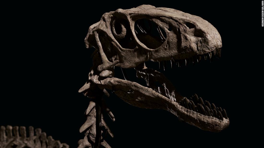 Fossils of a dinosaur that inspired 'Jurassic Park' sold for over $12 million