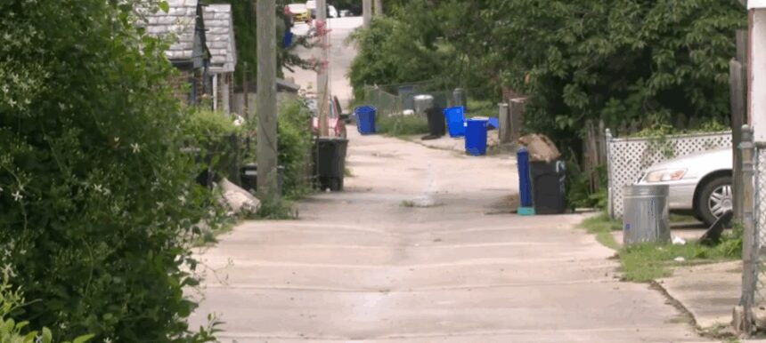 Community says rat infestation has become a serious health concern
