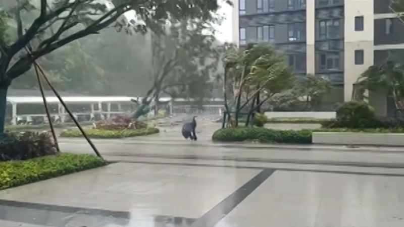 Typhoon Kajiki forces mass evacuation in Vietnam, shuts China’s Sanya