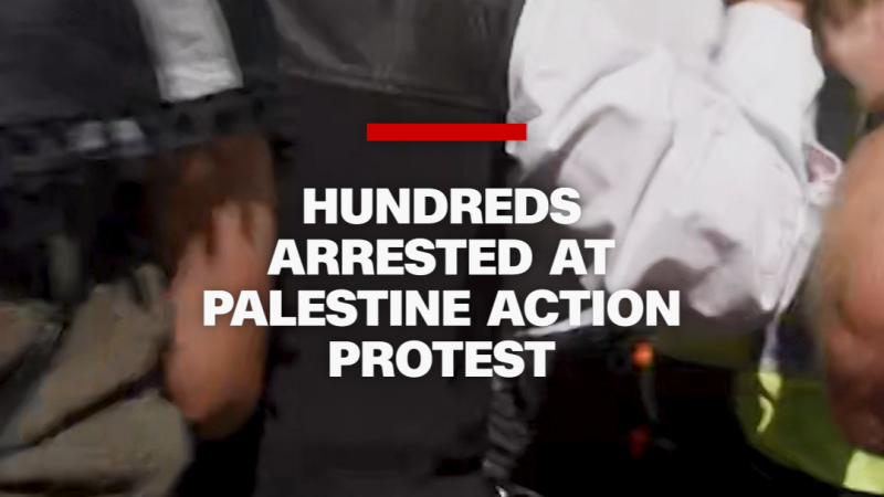 Video: Hundreds arrested at Palestine Action protest