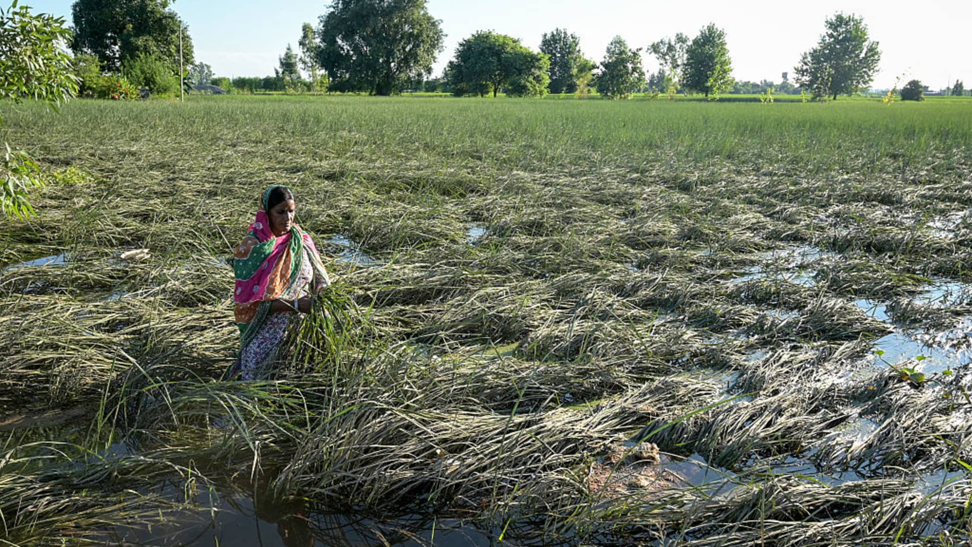 Floods, heavy rains unlikely to push India's inflation higher
