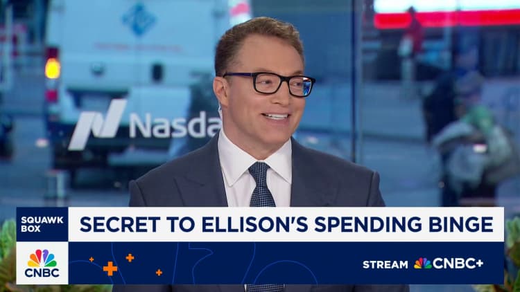 How Larry Ellison spends billions without selling many Oracle shares