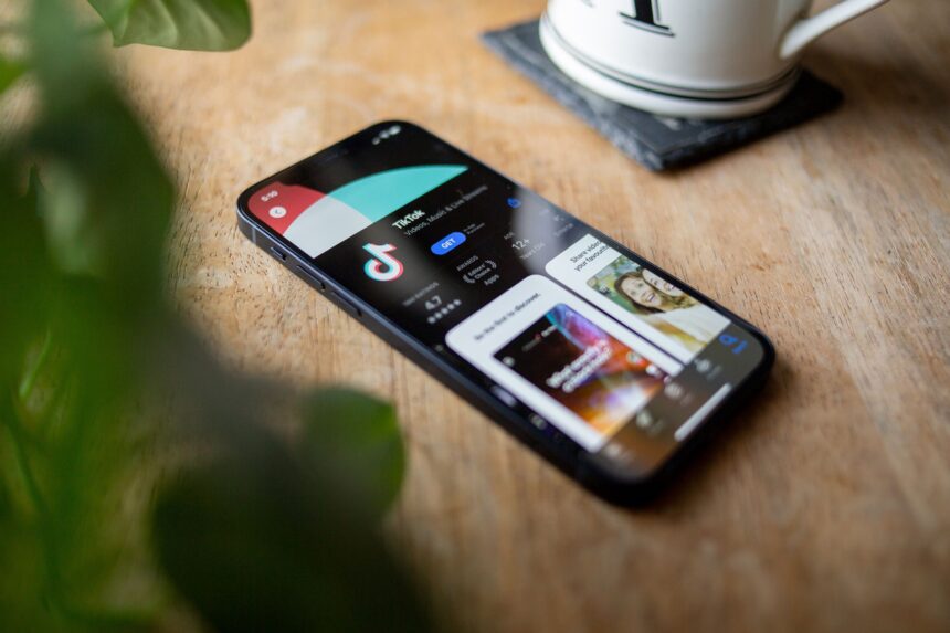 We now know who the new owners of TikTok will be - if Trump gets his deal done with Xi