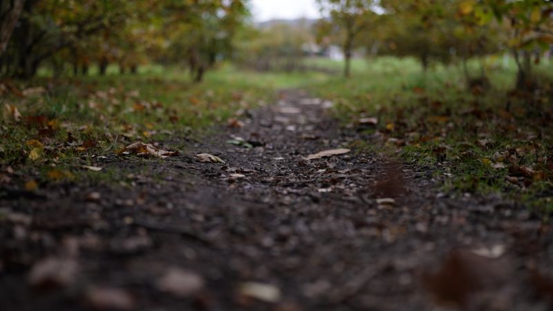 Video: England town pushes to pardon British witches executed centuries ago
