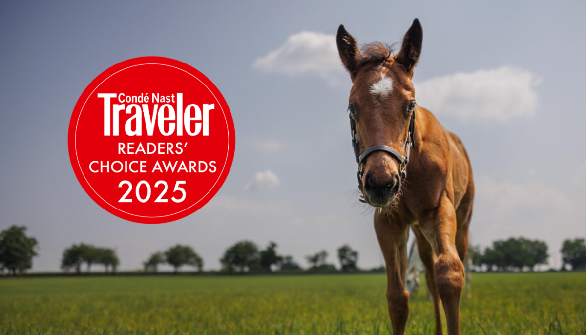 Lexington Earns Spot on Condé Nast Traveler's "Best Small Cities in the U.S." for Second Straight Year