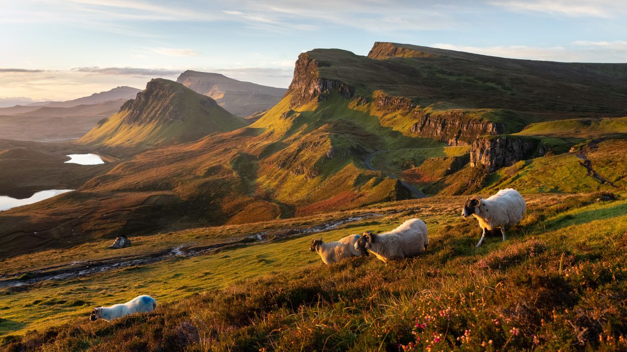 Condé Nast Traveler