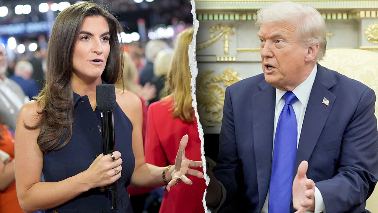 CNN's Kaitlan Collins says Trump 'embraced' media unlike other presidents
