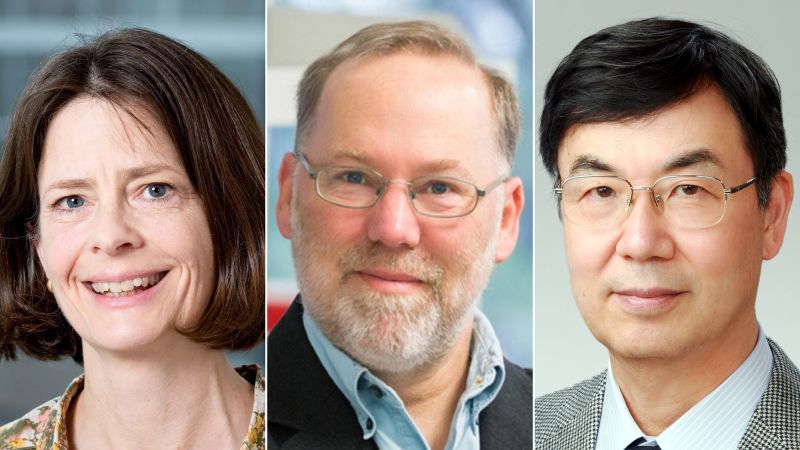 Nobel Prize in medicine goes to trio of scientists for discovering how the immune system is kept in check