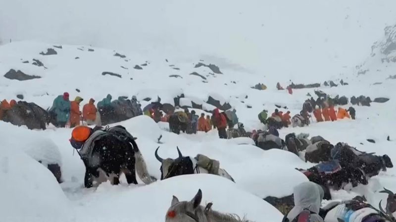 Mount Everest: Evacuated trekker uses cooking pots to dig her way out of freak blizzard