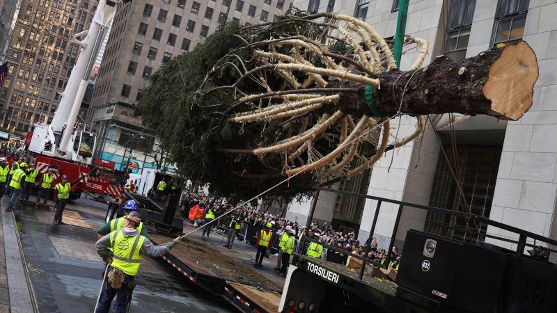 Rockefeller Center Christmas tree arrives in Manhattan, New York City