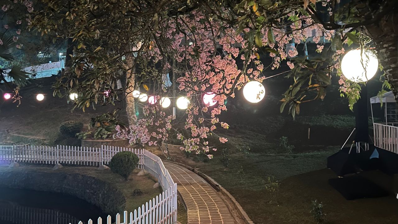 3 reasons to visit Shillong right now