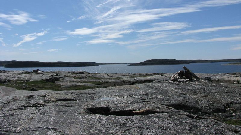 Wild things we learned about Earth in 2025