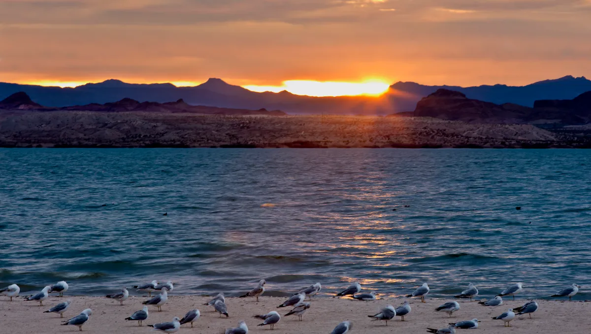 Lake Havasu is one of 15 best beaches in the US, Conde Nast says
