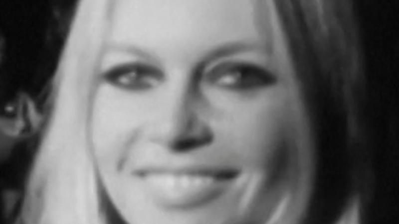 Actress Brigitte Bardot dies at 91 - CNN