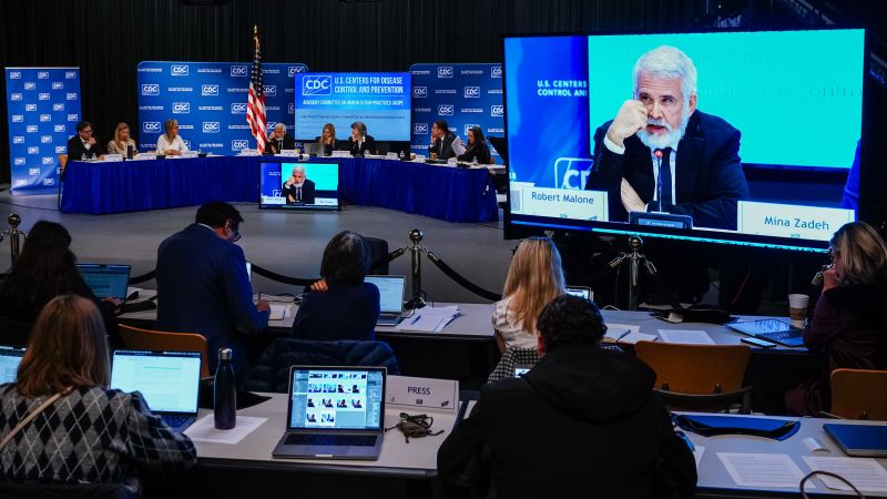 CDC advisers delay crucial vote on hepatitis B vaccination in tense meeting