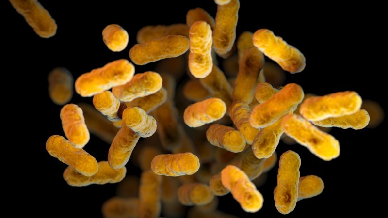 Pertussis: What to know about the whooping cough, including symptoms, treatments and DTap/Tdap vaccination options