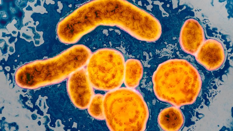 What is hepatitis B? | CNN