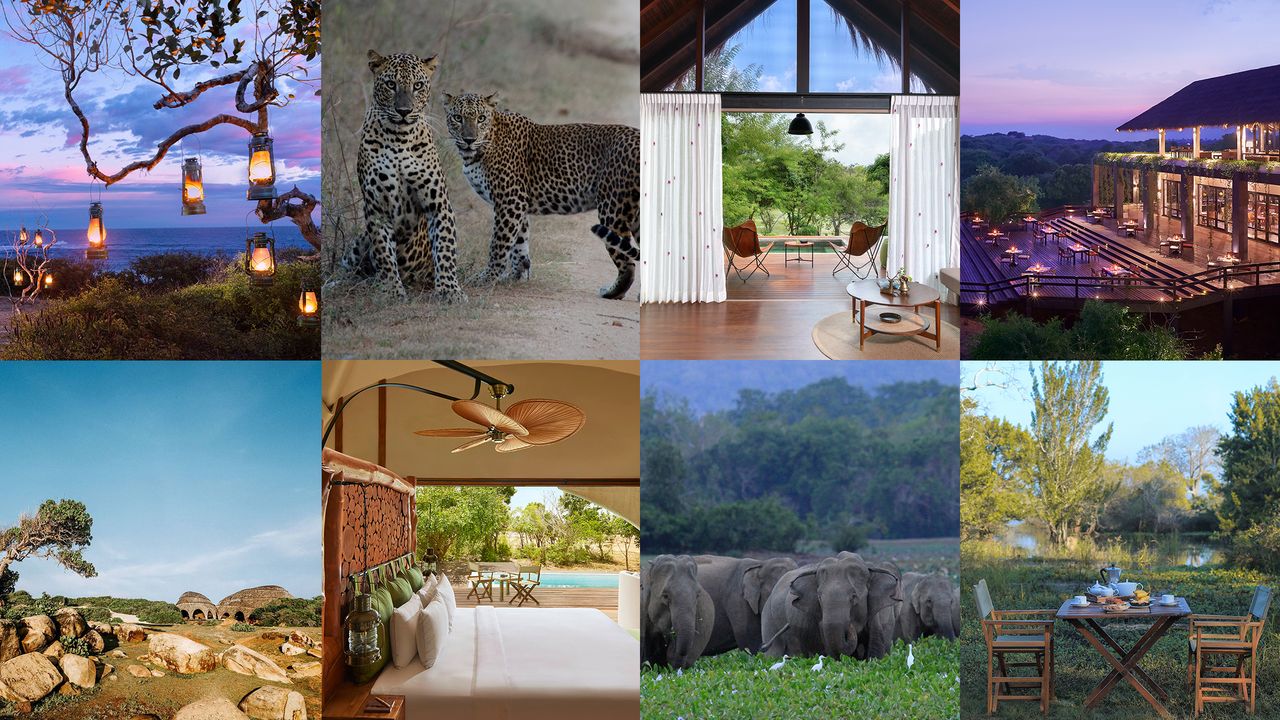 The best safari hotels in Sri Lanka