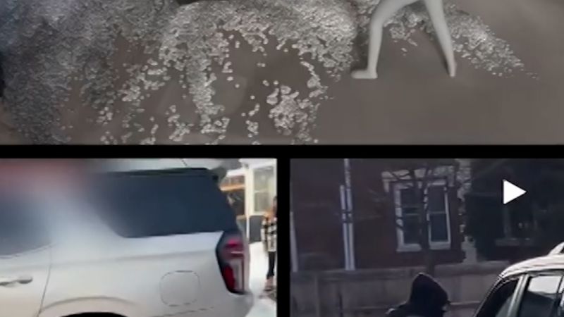 3D imaging examines fatal shooting of Renee Good