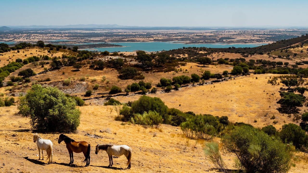 Condé Nast Traveler