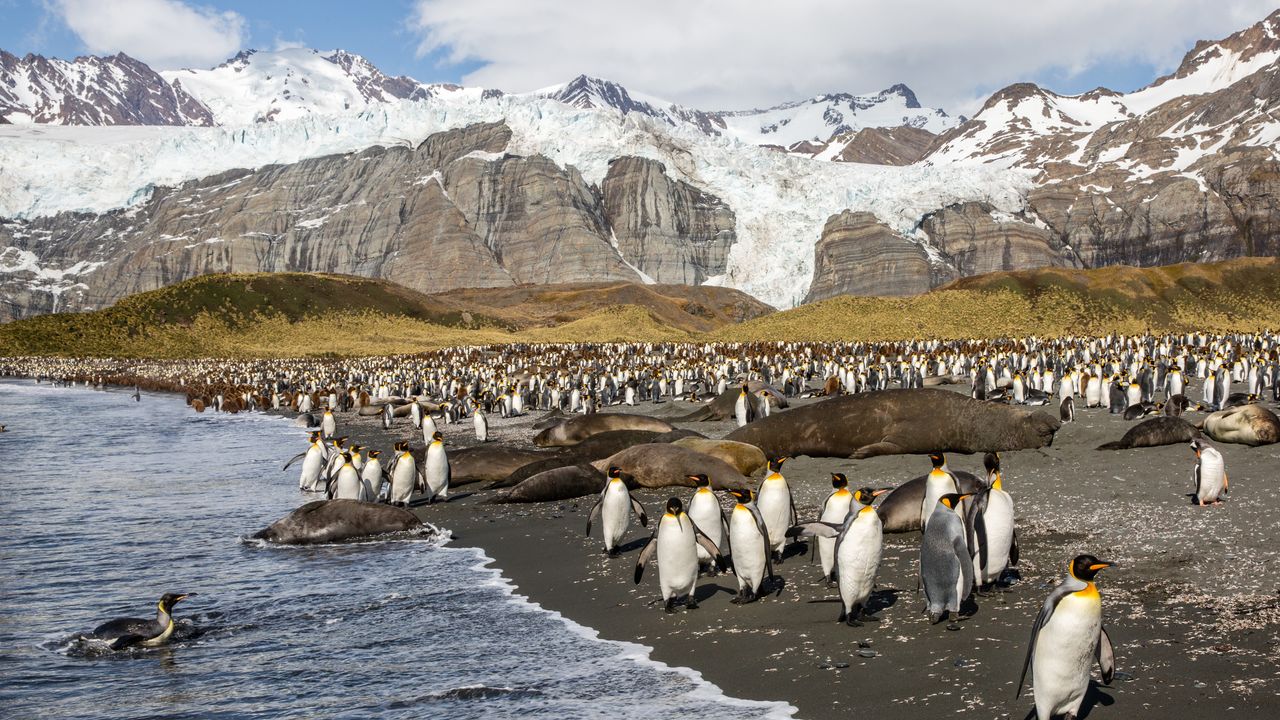 Condé Nast Traveler