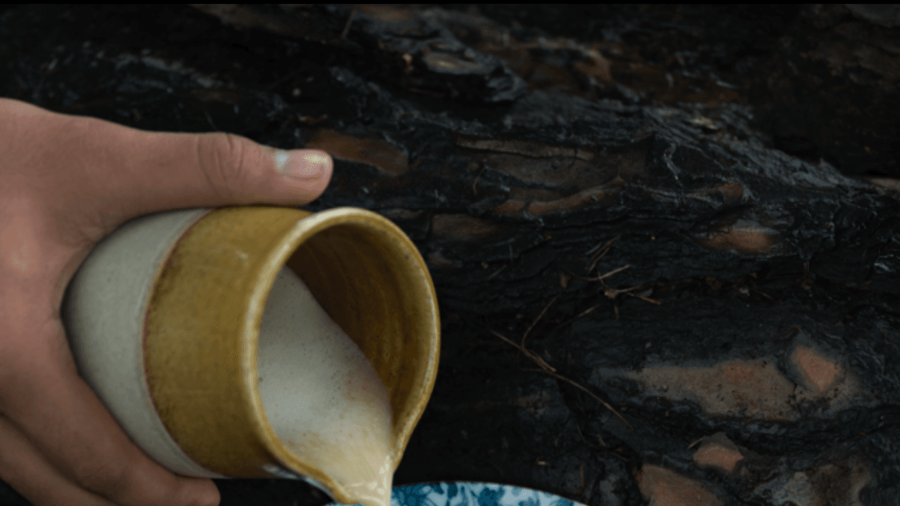 NAAR just served the State Banquet at the Rashtrapati Bhavan