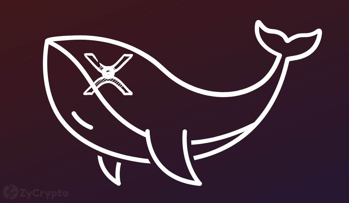 XRP Whales Are Moving Millions From Binance as Looming Litigation Causes Record Outflows