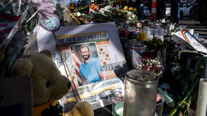 Investigators in Customs and Border Protection’s internal probe into Alex Pretti killing have limited evidence access