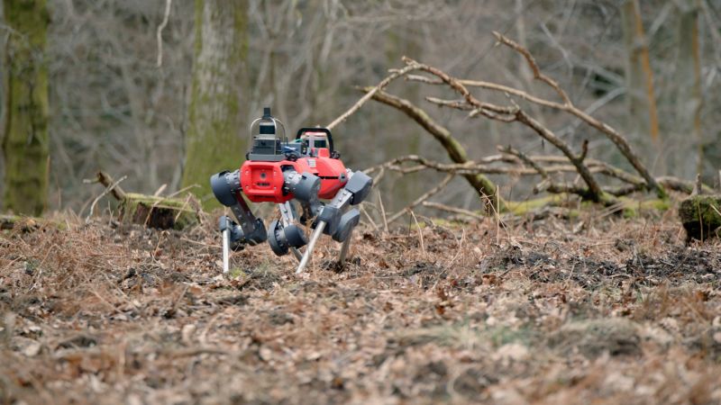 Robo-dogs from the Oxford Robotics Institute are mapping the forest. Real dogs are confused.