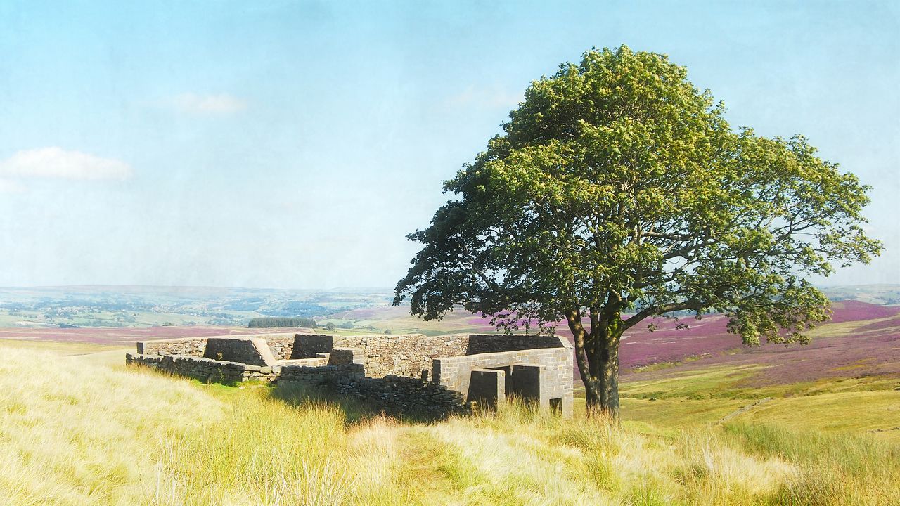 How to Explore West Yorkshire Beyond the Moors of 'Wuthering Heights'