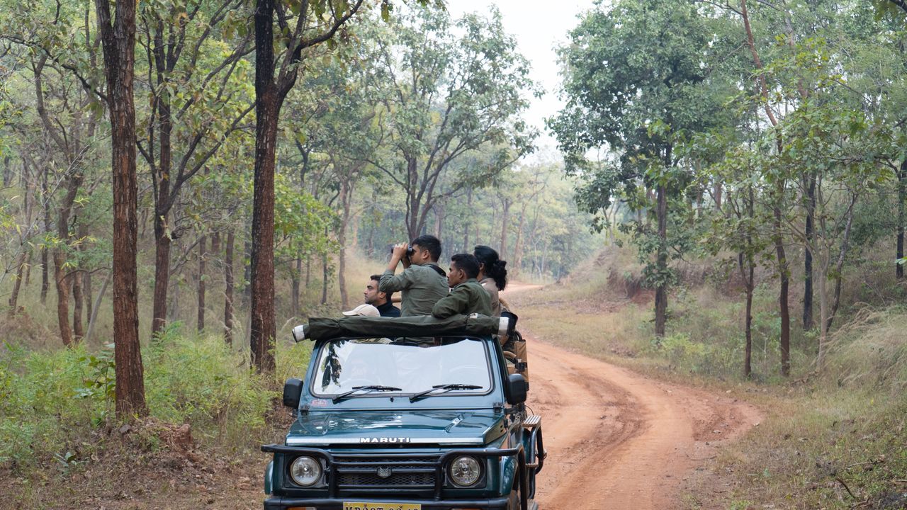 Going back to school with bird nerds