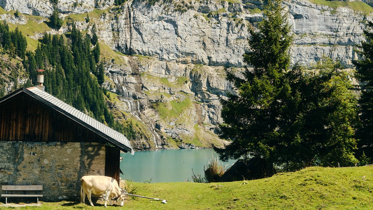 Condé Nast Traveler