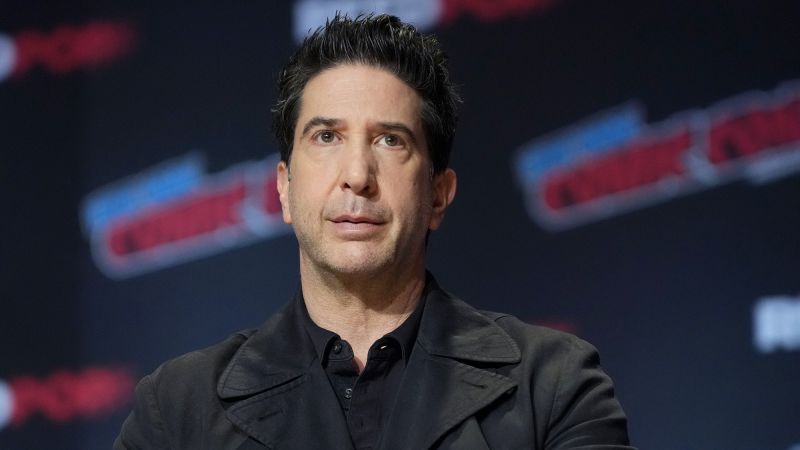 David Schwimmer talks fame and why he couldn’t stand the ‘Friends’ theme tune