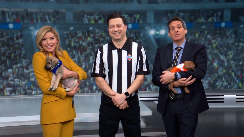 Puppy Bowl XXII is upon us - cnn.com