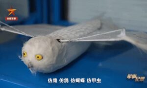 Chinese researchers develop flapping-wing drones imitating eagles, pigeons, butterflies and beetles